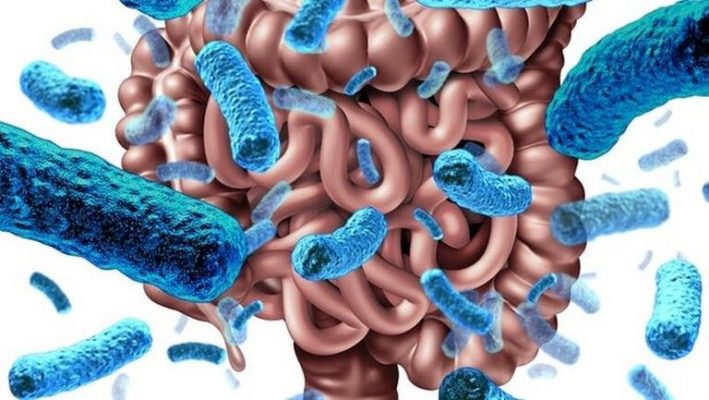 Hệ vi sinh đường ruột ảnh hưởng đến sức khỏe toàn diện