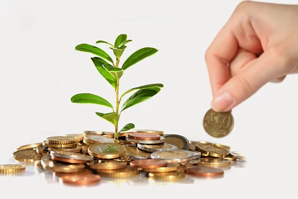 Không nhất thiết phải đầu tư lớn ngay từ đầu