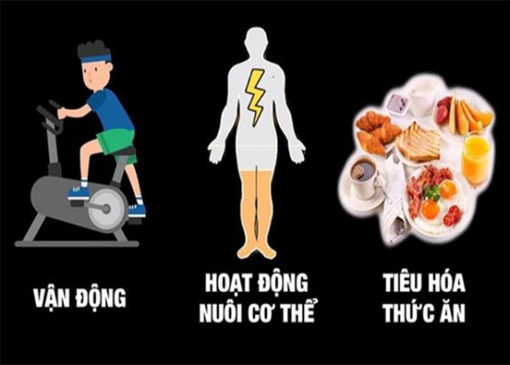 BMR khác biệt với tổng năng lượng tiêu hao trong ngày