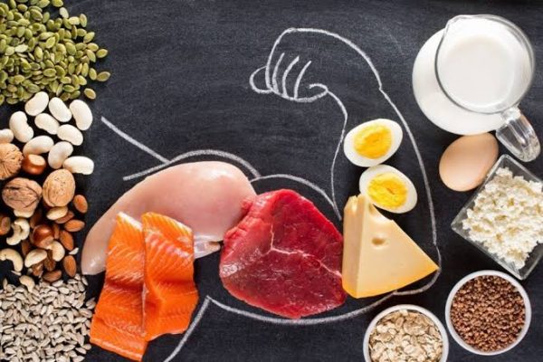 Protein là thành phần cấu tạo của cơ bắp và mô cơ thể